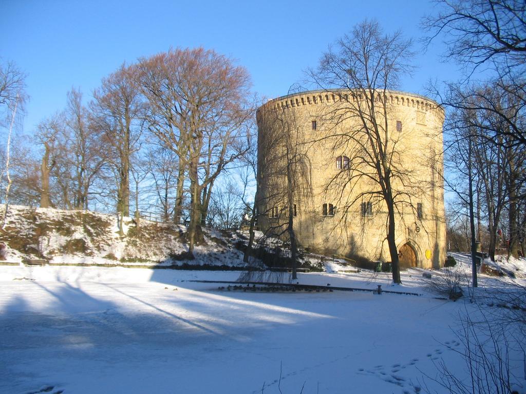 Ferienwohnungen Burg Im Zwinger 戈斯拉尔 外观 照片